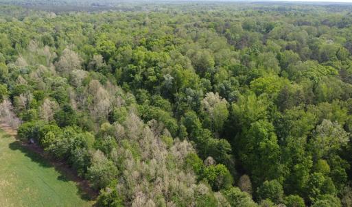 Photo #9 of Namozine Rd, Amelia, VA 151.0 acres