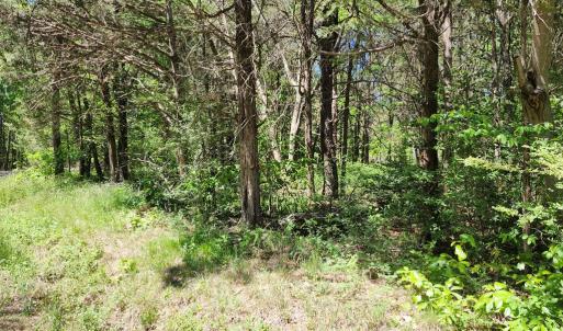 Photo #2 of 0 MILL-SCOTT ROAD, Farmville, VA 2.0 acres