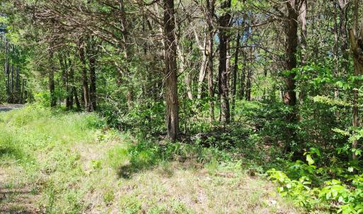 Photo #3 of 0 MILL-SCOTT ROAD, Farmville, VA 2.0 acres