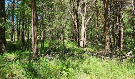Photo #4 of 0 MILL-SCOTT ROAD, Farmville, VA 2.0 acres
