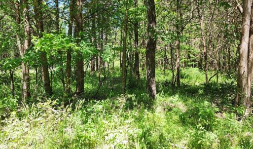Photo #5 of 0 MILL-SCOTT ROAD, Farmville, VA 2.0 acres