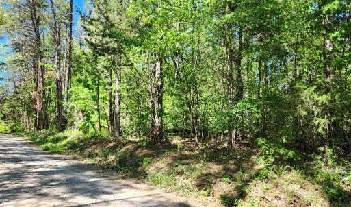 Photo #6 of 0 MILL-SCOTT ROAD, Farmville, VA 2.0 acres