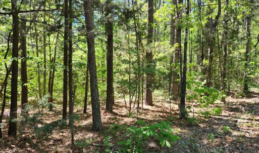 Photo #7 of 0 MILL-SCOTT ROAD, Farmville, VA 2.0 acres
