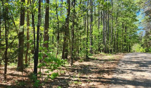 Photo #8 of 0 MILL-SCOTT ROAD, Farmville, VA 2.0 acres