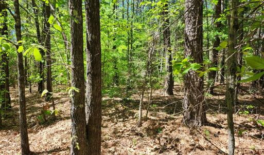 Photo #9 of 0 MILL-SCOTT ROAD, Farmville, VA 2.0 acres