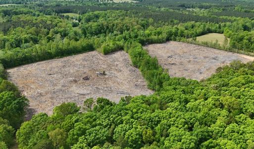 Photo #2 of Red Bank Rd, Virgilina, VA 25.3 acres