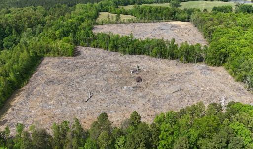 Photo #3 of Red Bank Rd, Virgilina, VA 25.3 acres