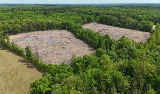 Photo #4 of Red Bank Rd, Virgilina, VA 25.3 acres