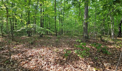 Photo #4 of 627 Axtell Rd, Howardsville, VA 6.9 acres