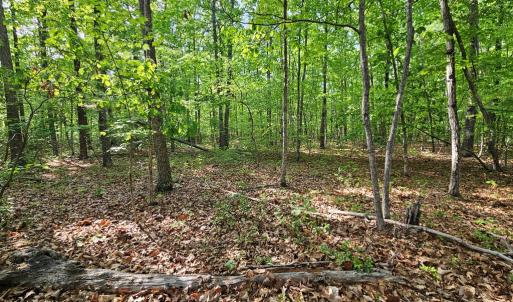 Photo #5 of 627 Axtell Rd, Howardsville, VA 6.9 acres