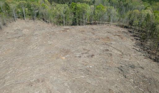 Photo #17 of Meherrin Road, Meherrin, VA 17.7 acres