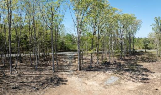 Photo #21 of Meherrin Road, Meherrin, VA 17.7 acres
