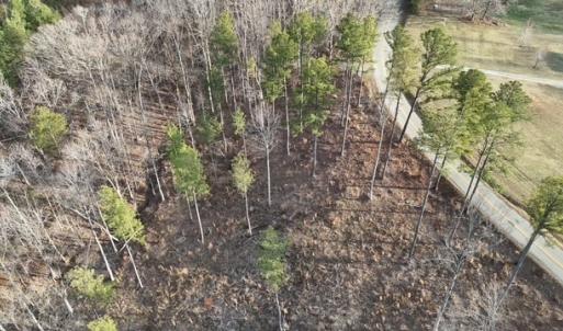 Photo #12 of Amelia Springs, Jetersville, VA 20.0 acres