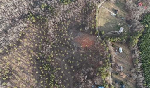 Photo #13 of Amelia Springs, Jetersville, VA 20.0 acres