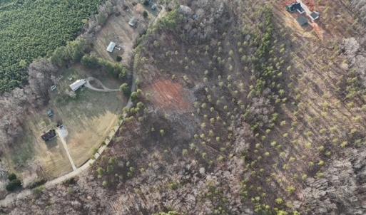 Photo #14 of Amelia Springs, Jetersville, VA 20.0 acres