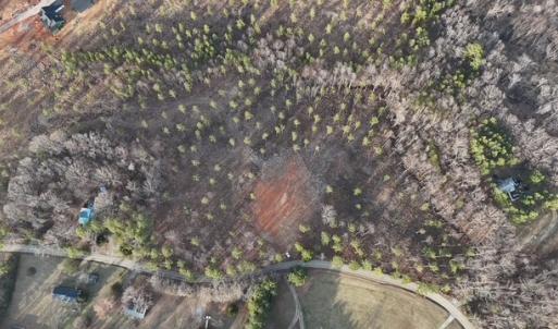 Photo #16 of Amelia Springs, Jetersville, VA 20.0 acres