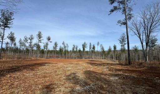 Photo #18 of Amelia Springs, Jetersville, VA 20.0 acres
