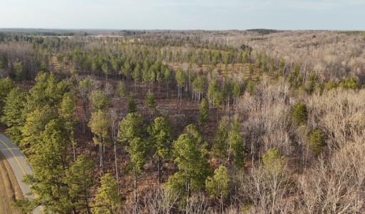 Photo #6 of Amelia Springs, Jetersville, VA 20.0 acres