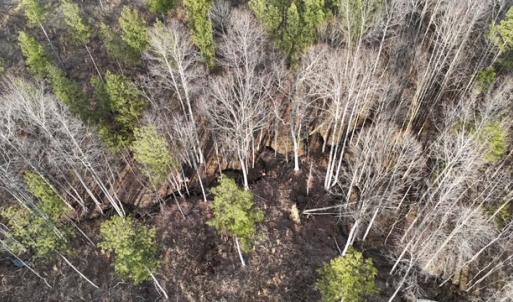 Photo #9 of Amelia Springs, Jetersville, VA 20.0 acres