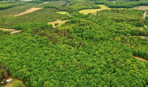 Photo #4 of ELAM RD, Pamplin, VA 6.0 acres