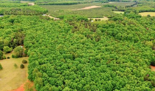 Photo #5 of ELAM RD, Pamplin, VA 6.0 acres
