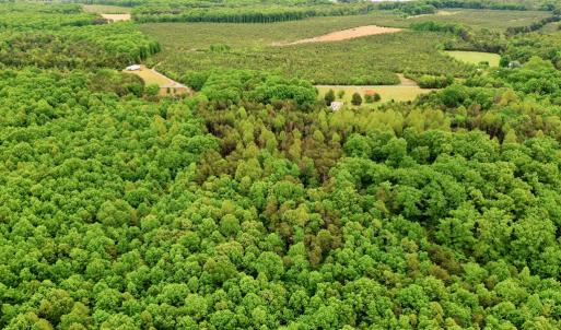Photo #7 of ELAM RD, Pamplin, VA 6.0 acres