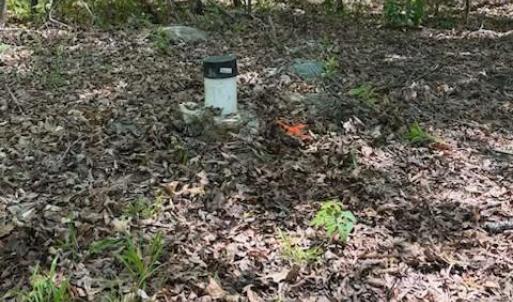 Photo #10 of 7 Walkers Lane, Chase City, VA 10.0 acres