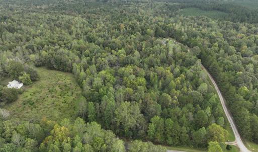 Photo #4 of 7 Walkers Lane, Chase City, VA 10.0 acres