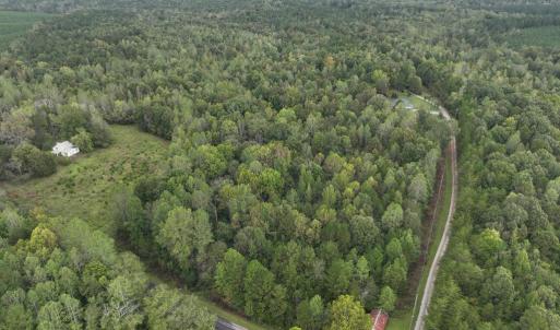 Photo #5 of 7 Walkers Lane, Chase City, VA 10.0 acres