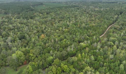 Photo #6 of 7 Walkers Lane, Chase City, VA 10.0 acres