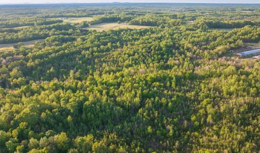 Photo #10 of 00 Poorhouse Road, Rice, VA 56.7 acres