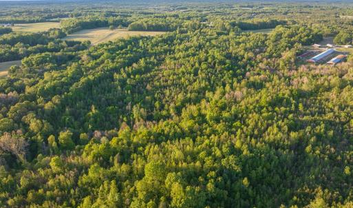 Photo #12 of 00 Poorhouse Road, Rice, VA 56.7 acres