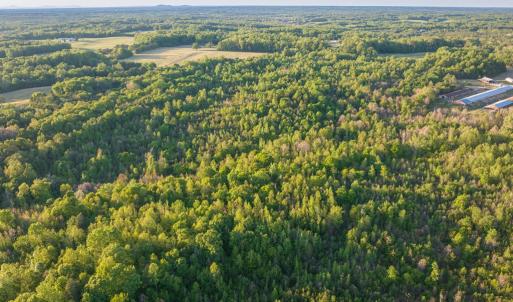 Photo #11 of 00 Poorhouse Road, Rice, VA 56.7 acres