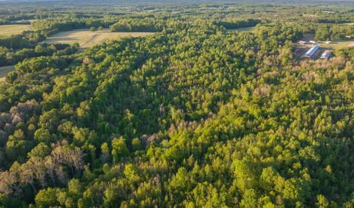 Photo #13 of 00 Poorhouse Road, Rice, VA 56.7 acres