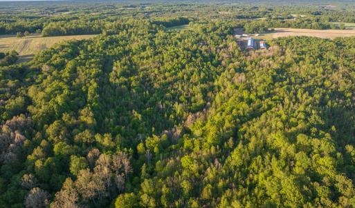Photo #14 of 00 Poorhouse Road, Rice, VA 56.7 acres
