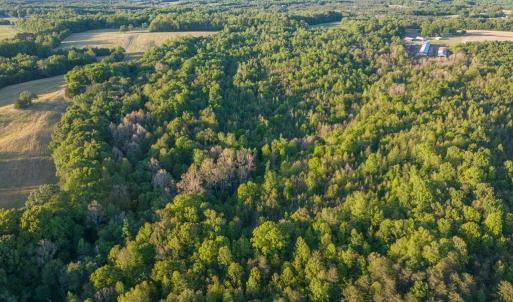 Photo #15 of 00 Poorhouse Road, Rice, VA 56.7 acres