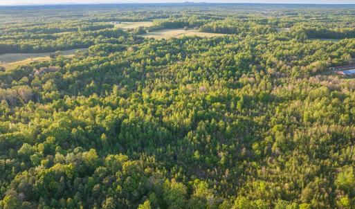 Photo #8 of 00 Poorhouse Road, Rice, VA 56.7 acres