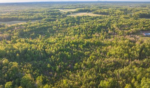 Photo #9 of 00 Poorhouse Road, Rice, VA 56.7 acres
