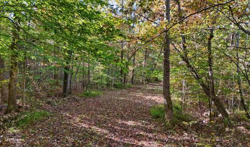 Photo #11 of Allen Rosen Rd, Dillwyn, VA 38.8 acres
