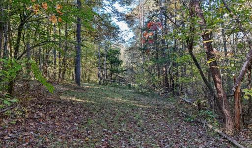 Photo #12 of Allen Rosen Rd, Dillwyn, VA 38.8 acres