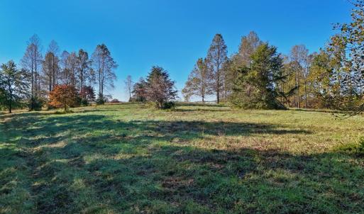 Photo #2 of Allen Rosen Rd, Dillwyn, VA 38.8 acres