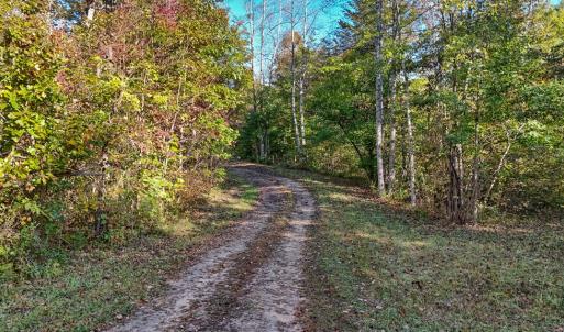 Photo #3 of Allen Rosen Rd, Dillwyn, VA 38.8 acres