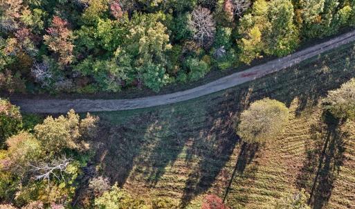 Photo #4 of Allen Rosen Rd, Dillwyn, VA 38.8 acres