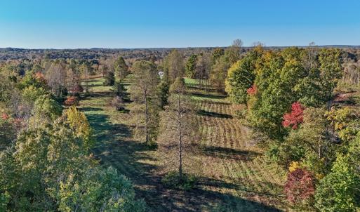 Photo #5 of Allen Rosen Rd, Dillwyn, VA 38.8 acres