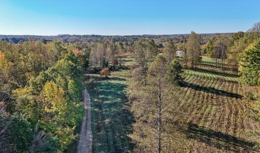 Photo #6 of Allen Rosen Rd, Dillwyn, VA 38.8 acres
