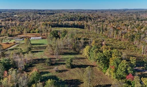 Photo #7 of Allen Rosen Rd, Dillwyn, VA 38.8 acres