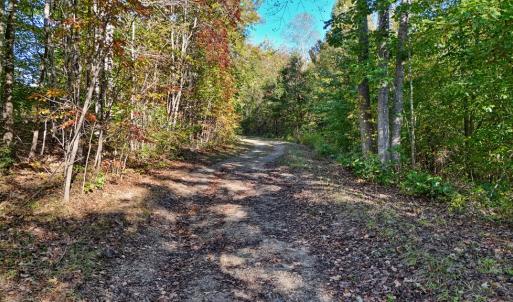 Photo #8 of Allen Rosen Rd, Dillwyn, VA 38.8 acres