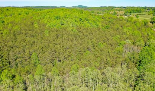 Photo #10 of Old Well Road, Spencer, VA 47.7 acres