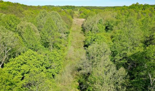 Photo #11 of Old Well Road, Spencer, VA 47.7 acres