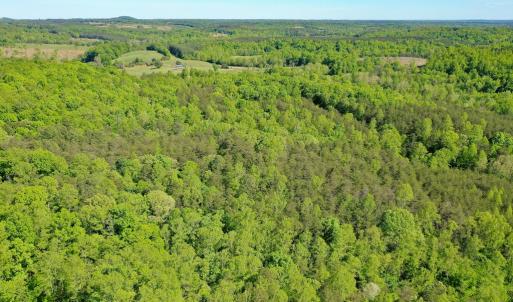 Photo #12 of Old Well Road, Spencer, VA 47.7 acres
